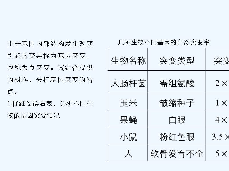 2017-2018学年高中生物 第5章 遗传信息的改变 第20课时 基因突变 北师大版必修2(1)_第5页