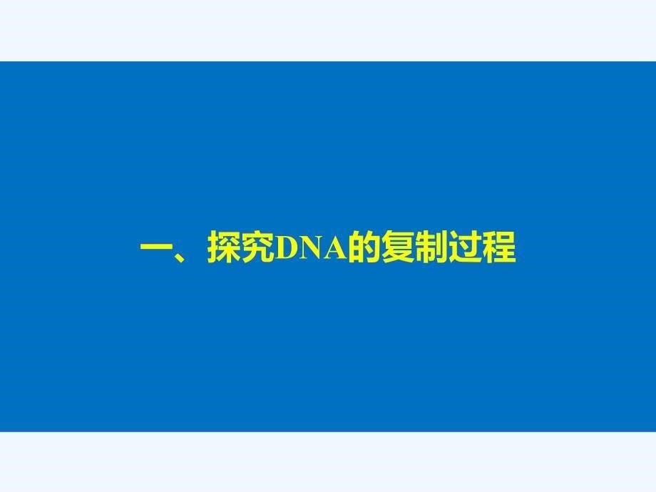 2017-2018学年高中生物 第三章 遗传的分子基础 第三节 遗传信息的传递 浙科版必修2(1)_第5页