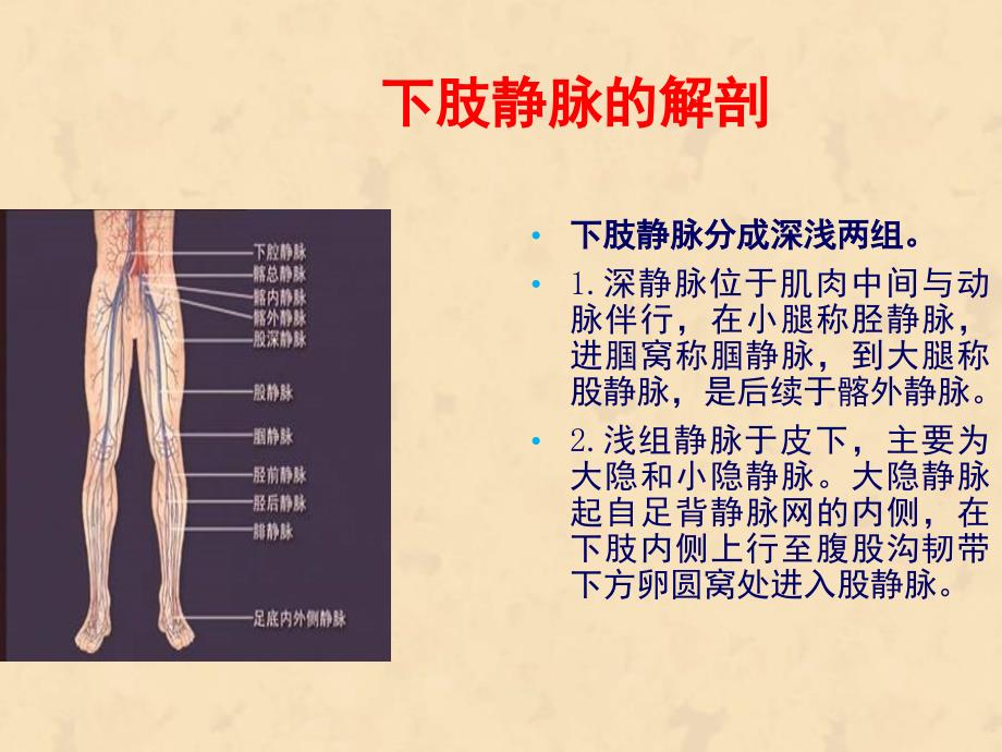 下肢静脉血栓的相和关知识护理培训讲学_第2页