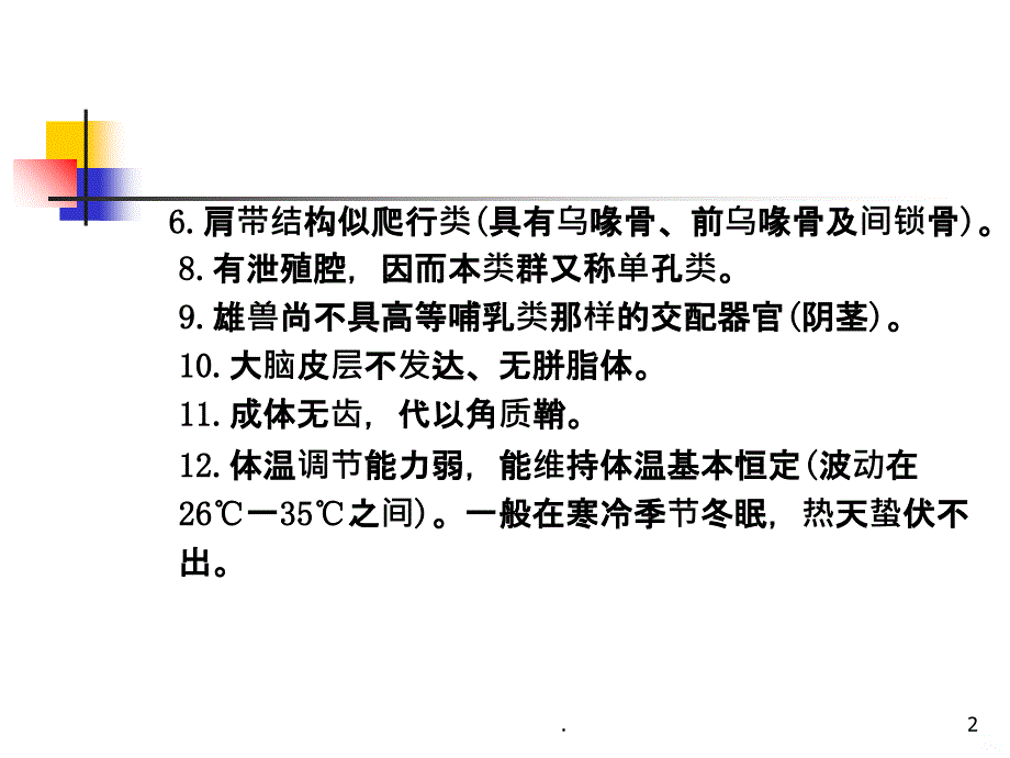 哺乳动物分类原兽亚纲PPT课件_第2页