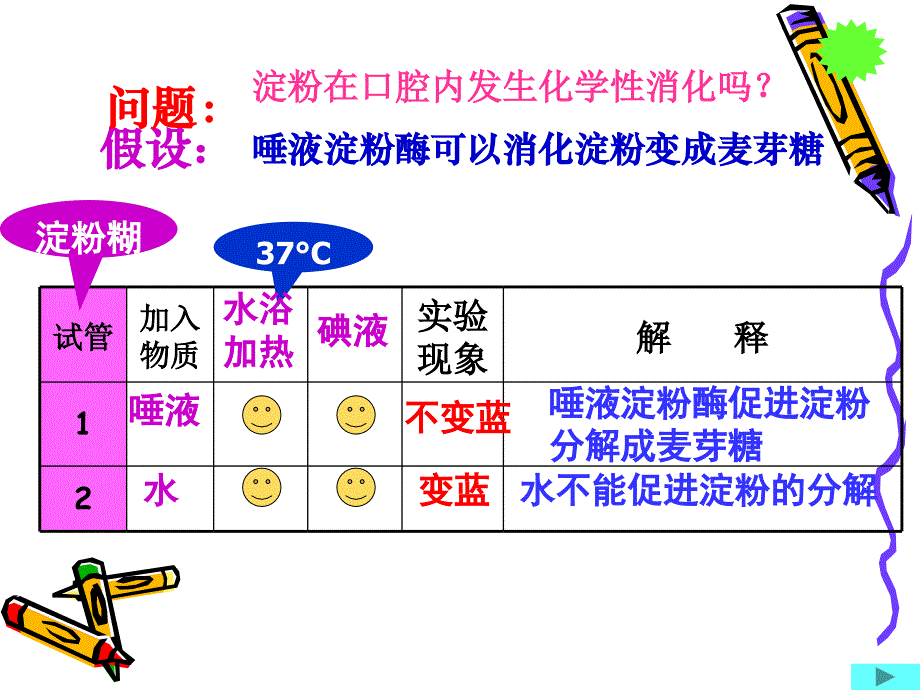 食物在胃肠内消化教学提纲_第2页