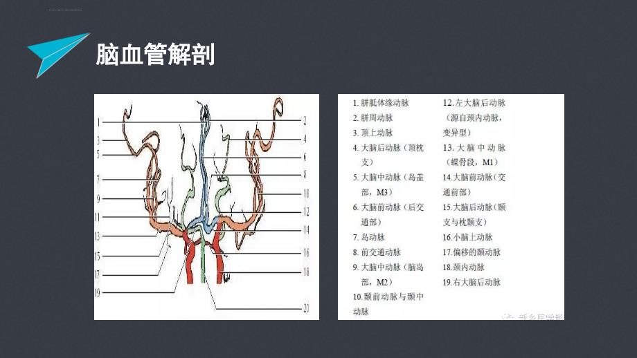 急性脑梗塞的责任血管判定-文档资料课件_第2页