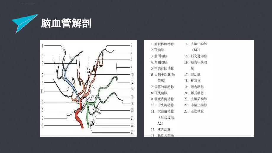 急性脑梗塞的责任血管判定-文档资料课件_第3页