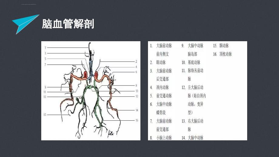 急性脑梗塞的责任血管判定-文档资料课件_第4页