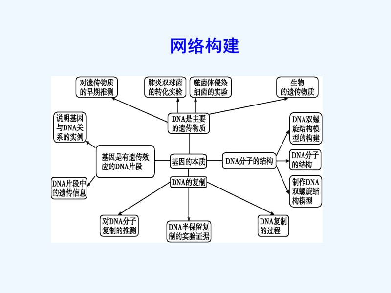 2017-2018学年高中生物 第3章 基因的本质章末整合 新人教版必修2(1)_第2页