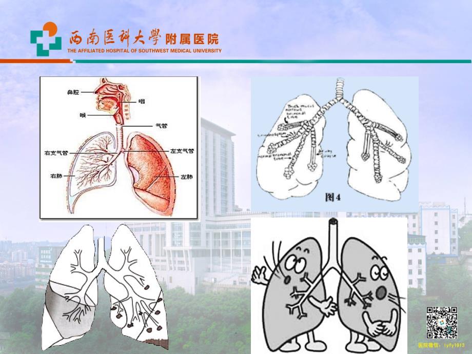 胸部体疗排痰护理PPT课件_第3页