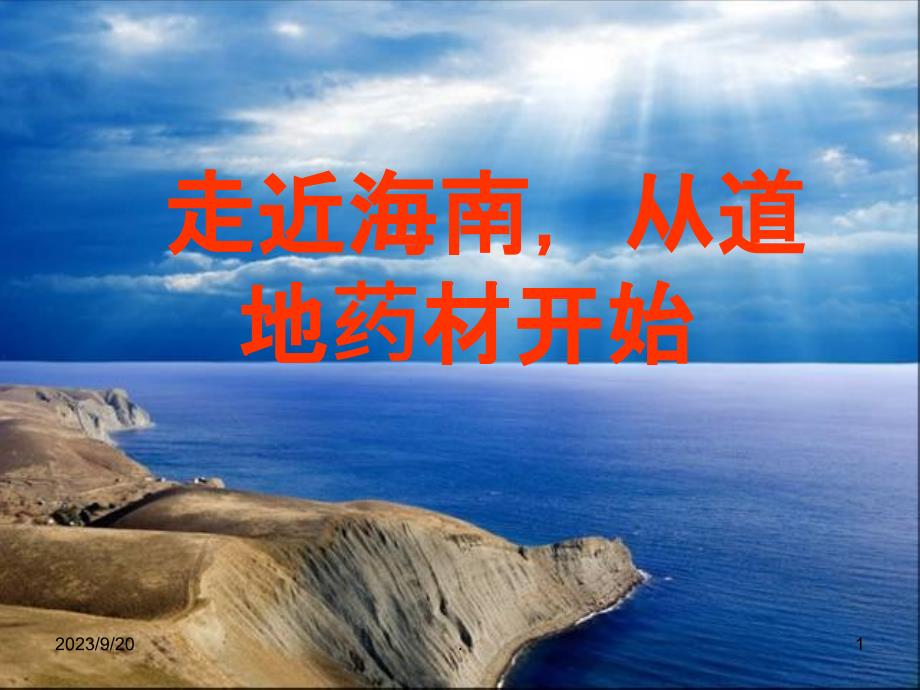 海南的道地药材PPT课件_第1页