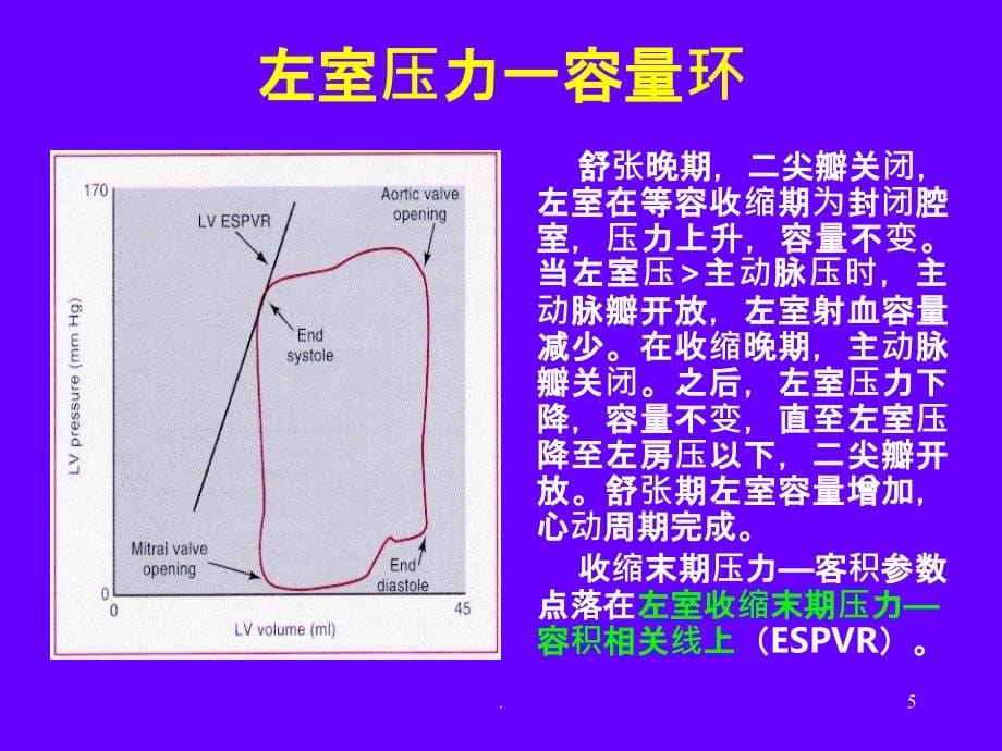 心功能临床评价方法培训PPT课件_第5页