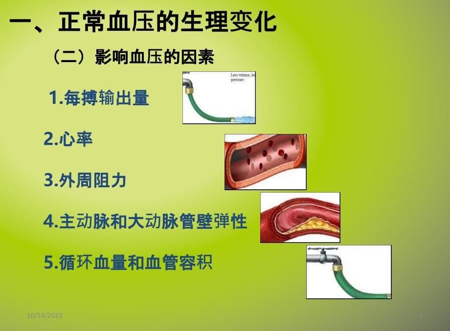 血压的观察与护理72769PPT课件_第5页