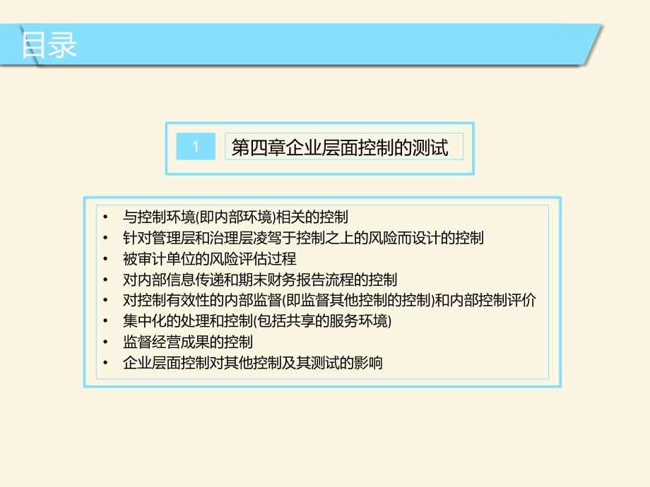 内控审计底稿指南教学提纲_第2页