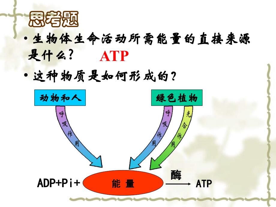 2006年江苏省高一生物ATP的主要来源 细胞呼吸课件_第3页