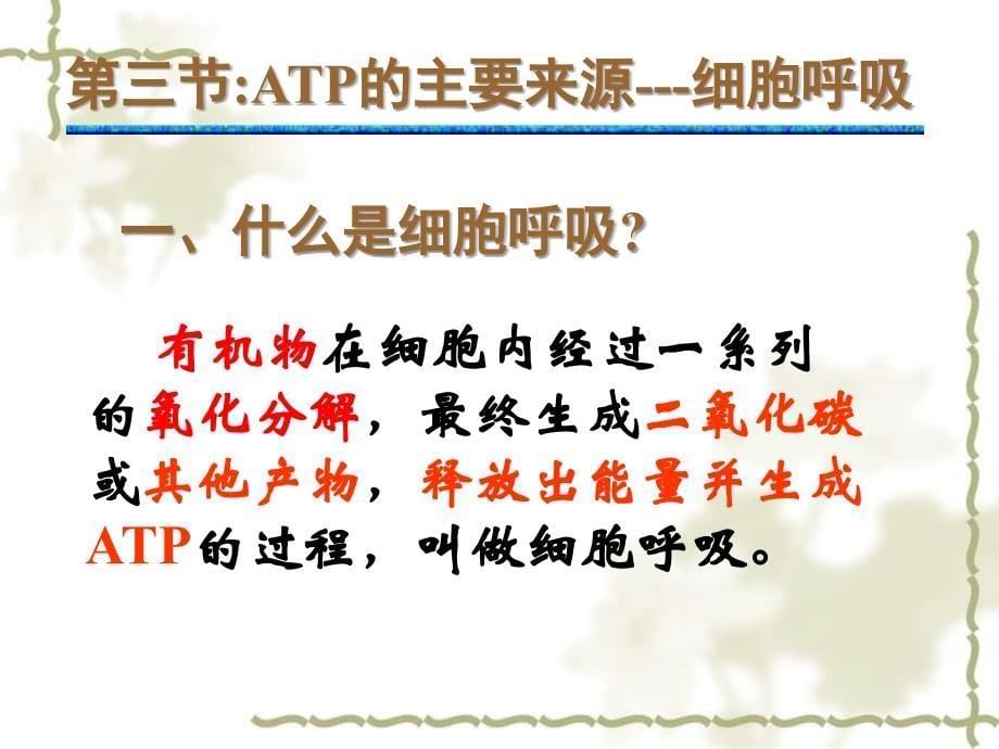 2006年江苏省高一生物ATP的主要来源 细胞呼吸课件_第5页