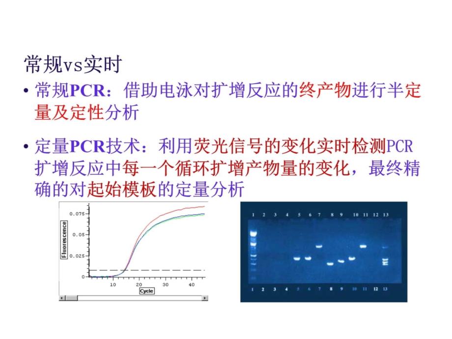 实时荧光定量PCR技术-全面分析幻灯片资料_第4页