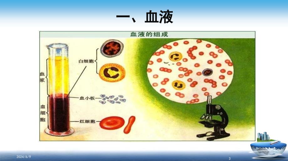 血液、血型及遗传演示教学_第3页