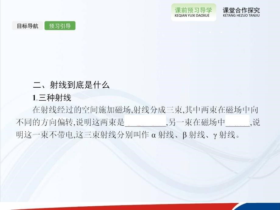 高中物理选修35配套课件19.1原子核的组成_第5页