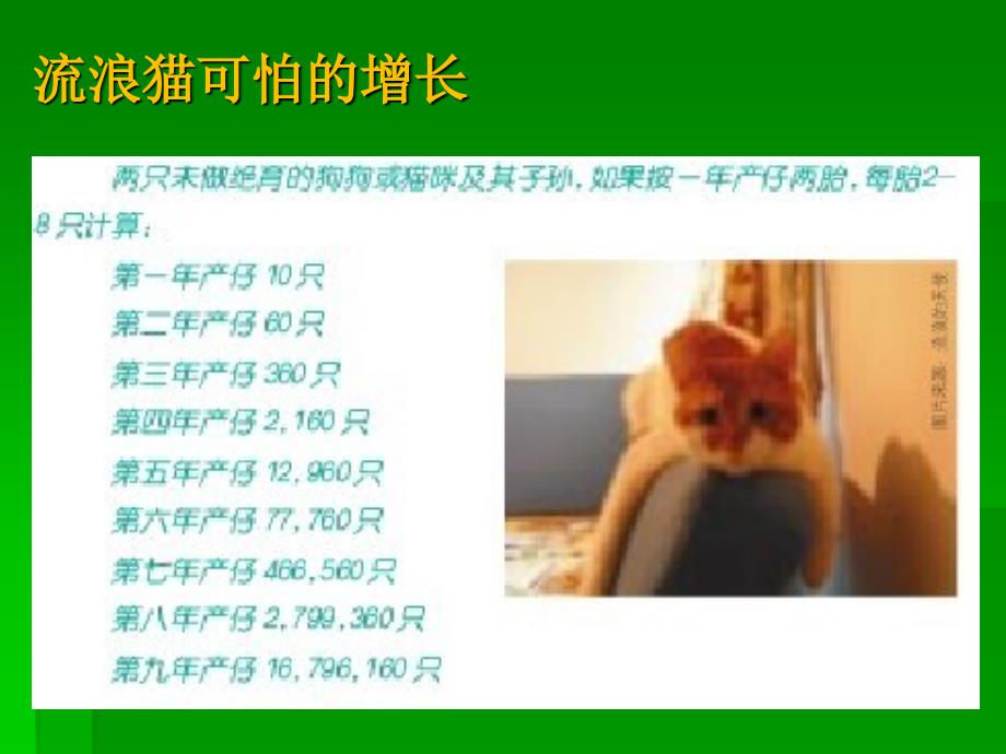 科学救助社区流浪猫讲义教材_第3页
