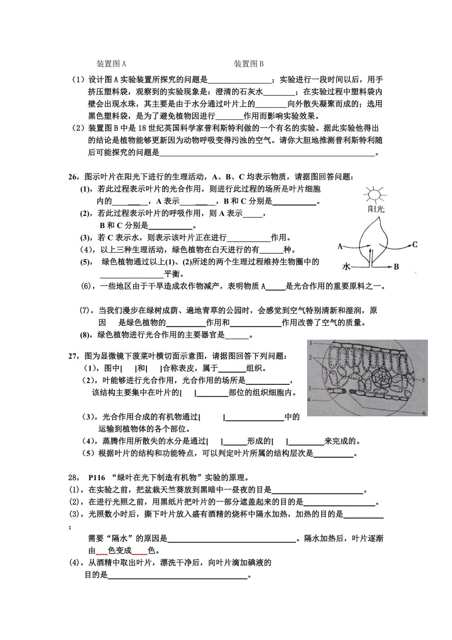 专题三 生物圈中的绿色植物(三)_第4页