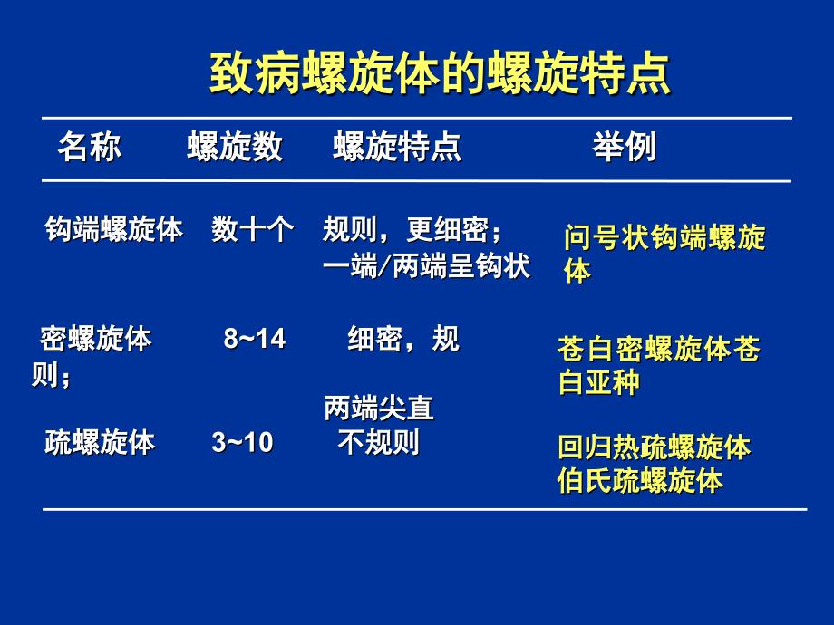 医学微生物学螺旋体教学幻灯片_第2页