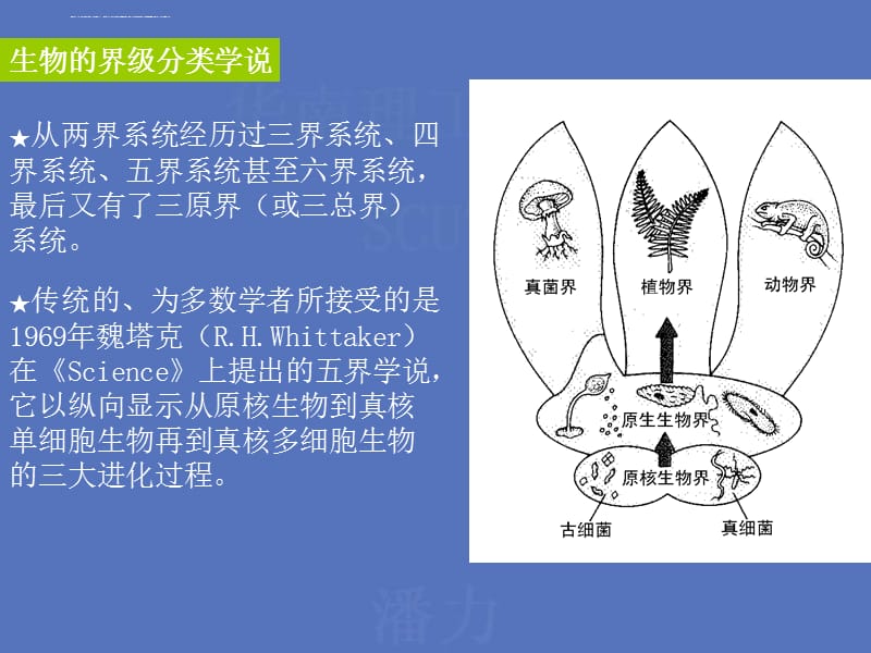 微生物分类、鉴定及命名课件_第4页