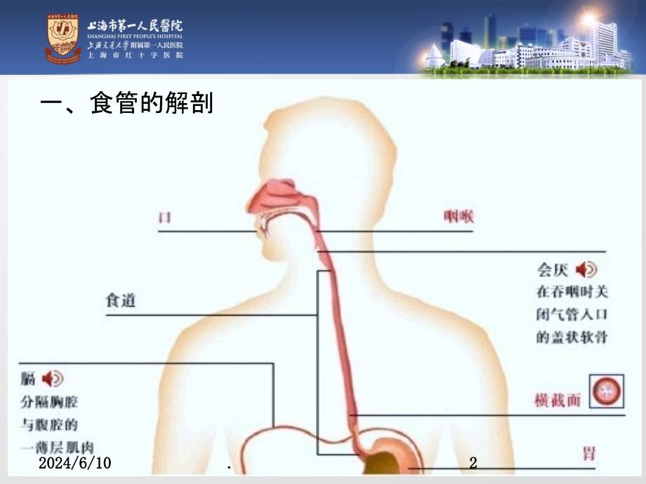 食管癌早中晚期临床表现PPT课件_第2页