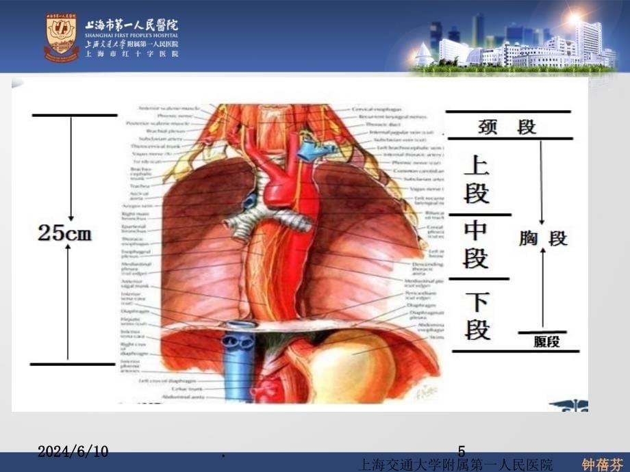 食管癌早中晚期临床表现PPT课件_第5页