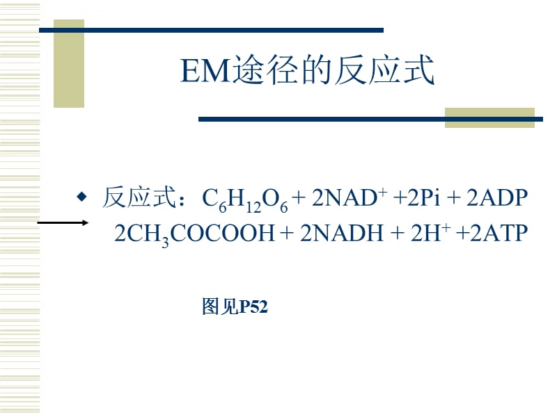 微生物营养和代谢课件_第5页