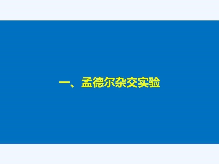 2017-2018学年高中生物 第一章 孟德尔定律 第二节 自由组合定律（Ⅰ） 浙科版必修2(1)_第5页