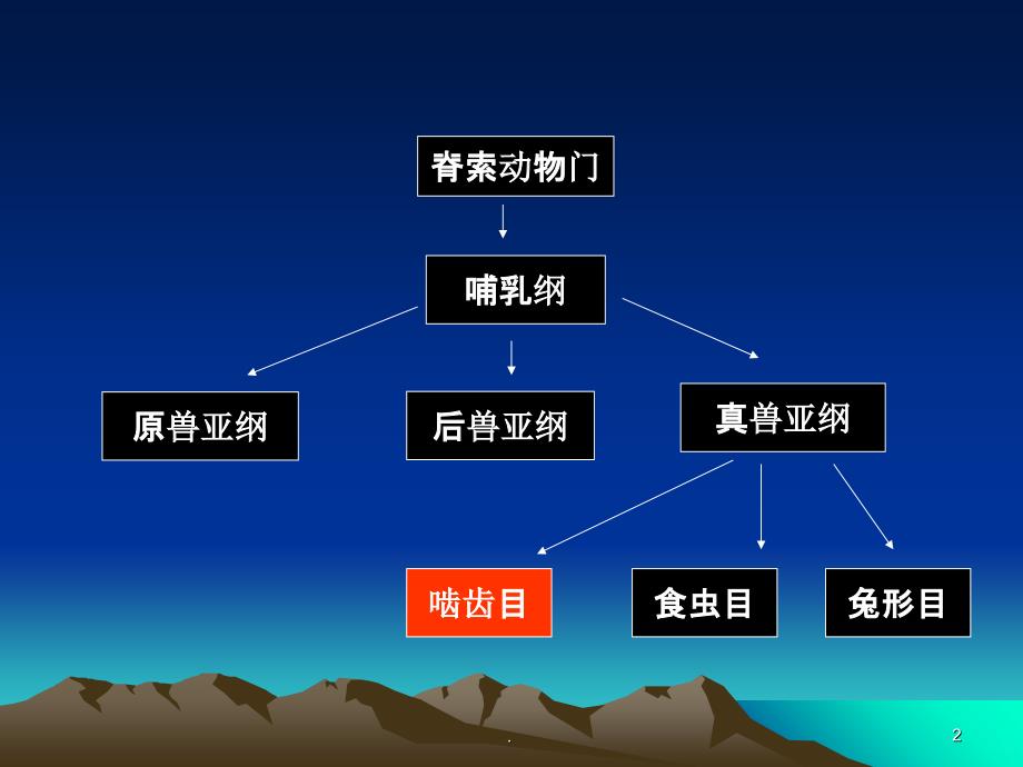 鼠类的分类鉴定PPT课件_第2页