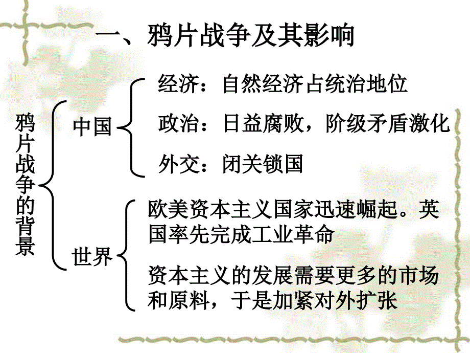 2006届高三总复习中国近代史概论 半殖民地半封建社会的开端一_第4页