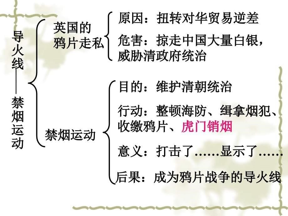 2006届高三总复习中国近代史概论 半殖民地半封建社会的开端一_第5页