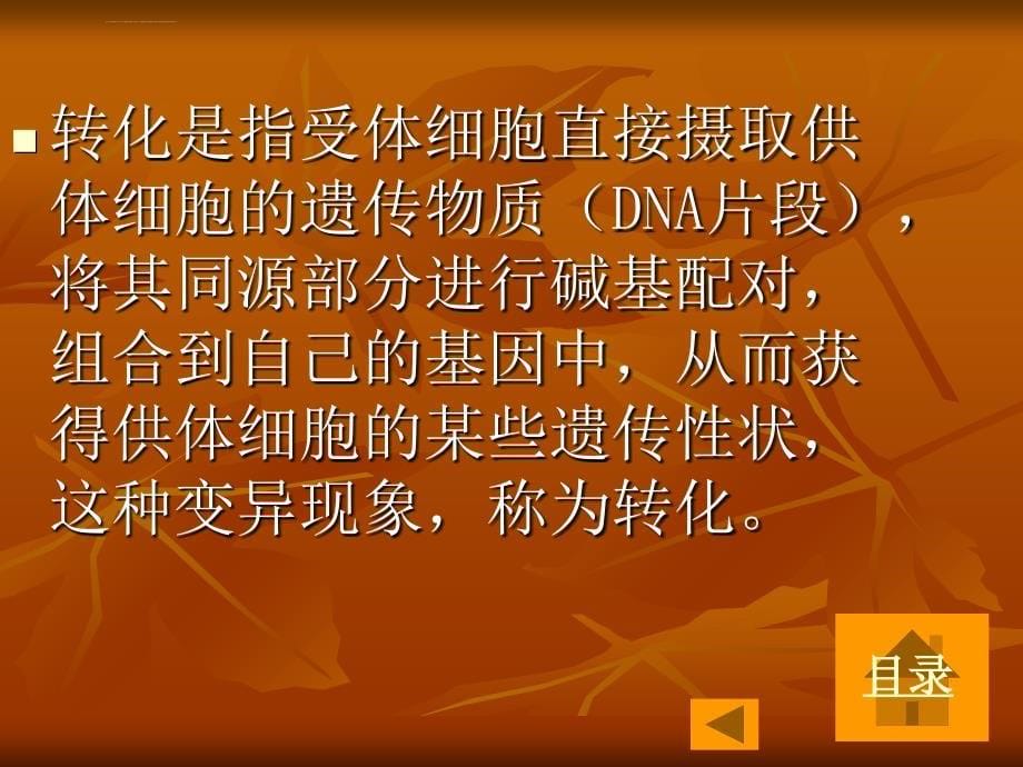 必修二第三章第一节肺炎双球菌的转化实验课件_第5页