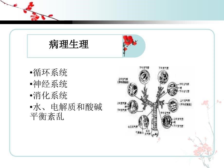 小儿支气管肺炎的护理查房1教学案例_第5页