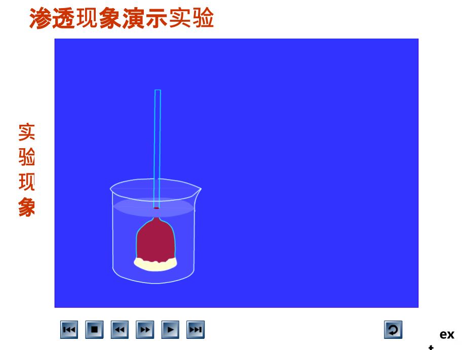 吸水与失水PPT课件_第2页