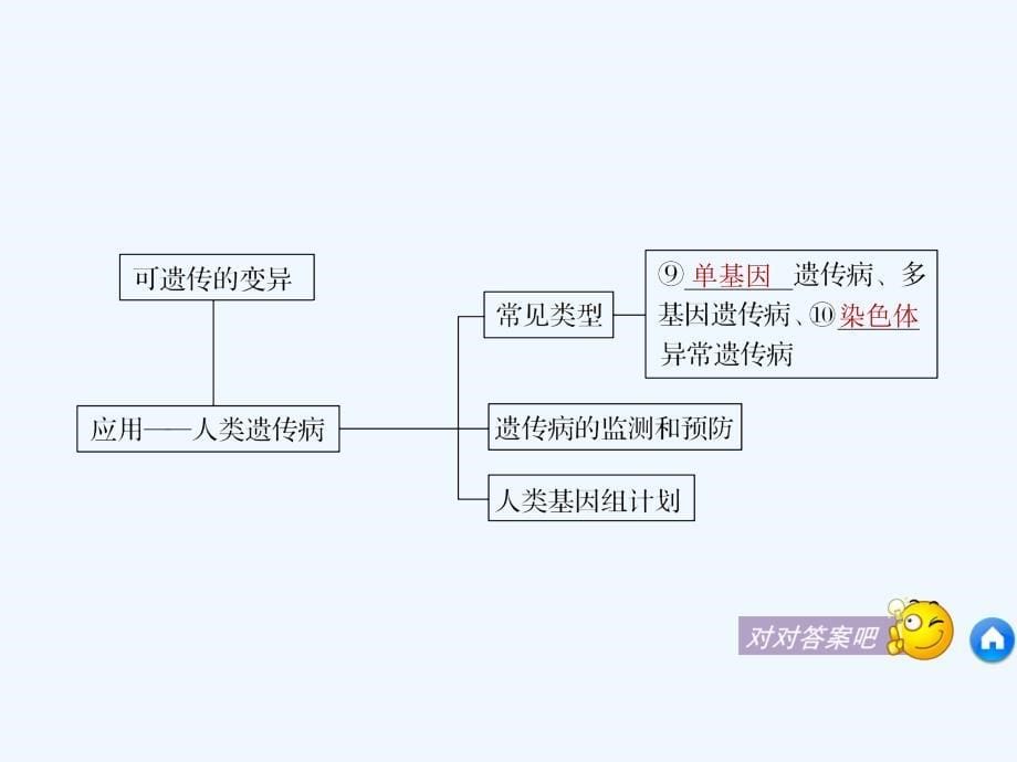 2017-2018学年高中生物 第五章 基因突变及其他变异章末整合提升 新人教版必修2(1)_第5页