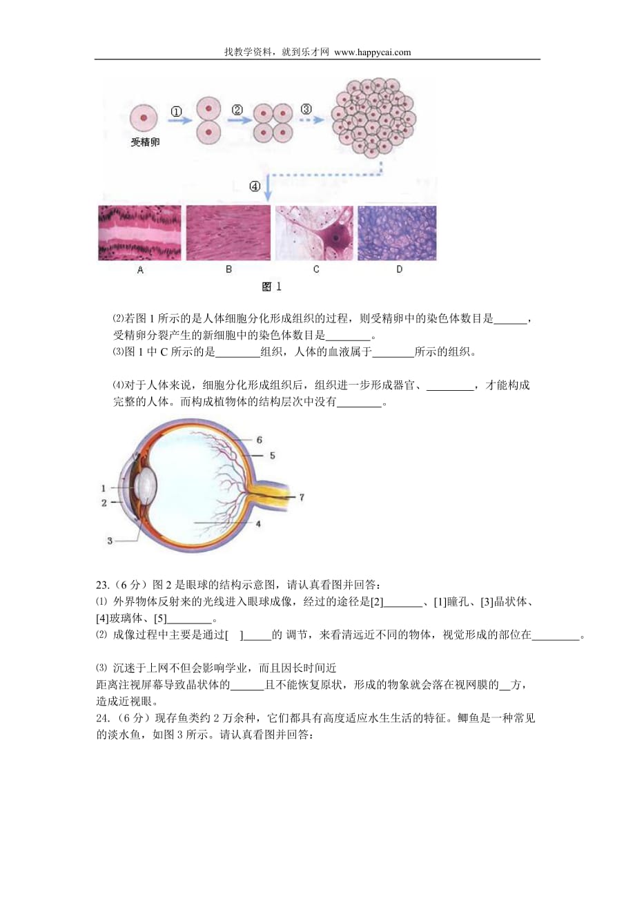 大连市甘井子区初中生物结业测验考试模拟试卷_第4页