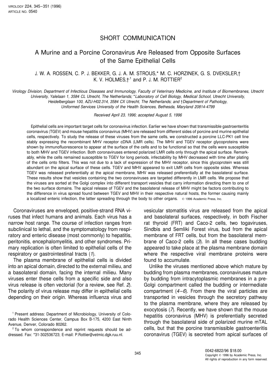 1996 A Murine and a Porcine Coronavirus Are Released from Opposite Surfaces of the Same Epithelial Cells_第1页