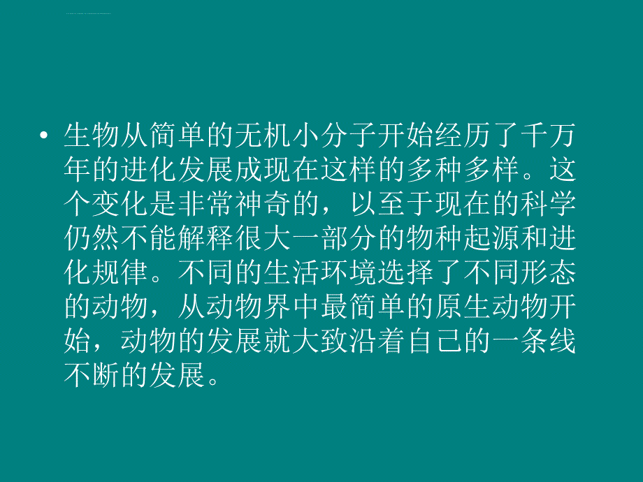 无脊椎动物的进化简述课件_第3页