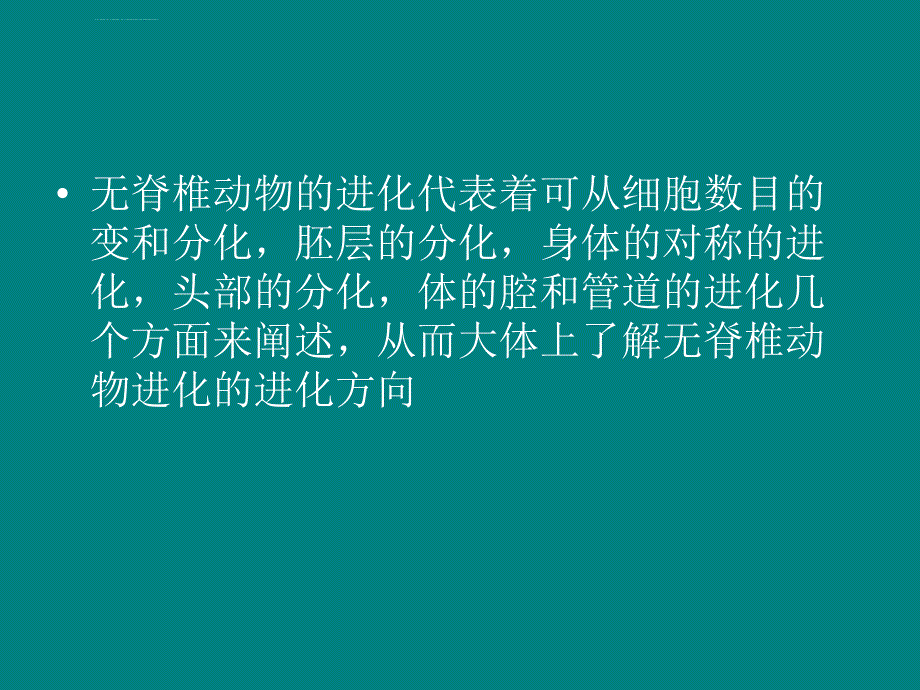 无脊椎动物的进化简述课件_第4页