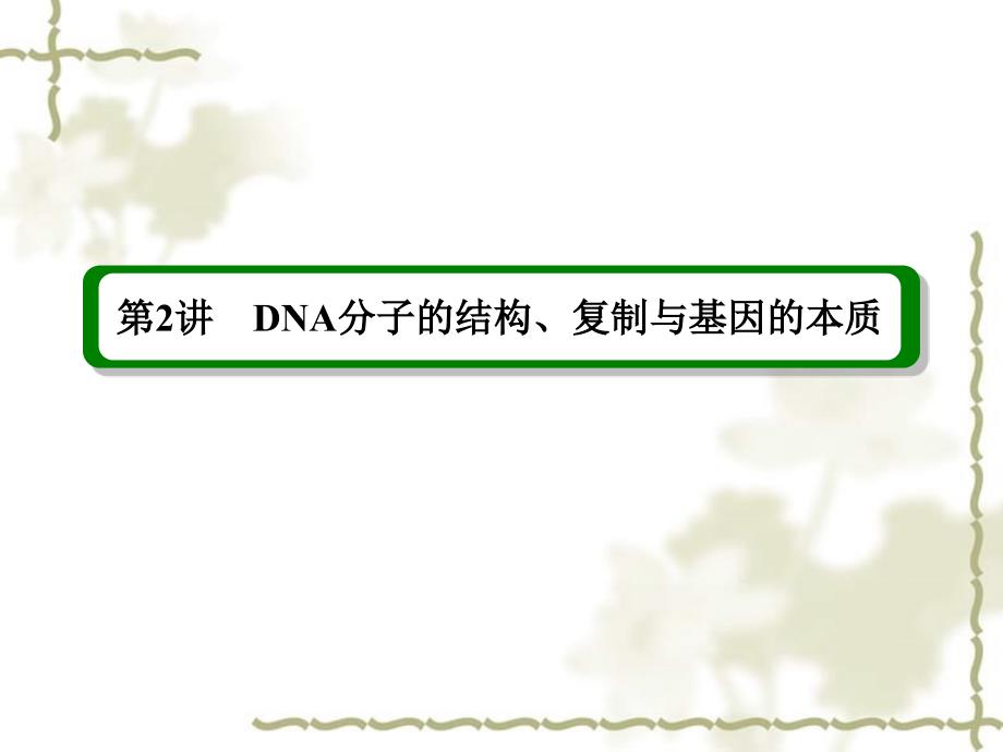 2013届高考生物一轮复习 第2讲 DNA分子的结构、复制与基因的本质课件 新人教版必修2_第3页