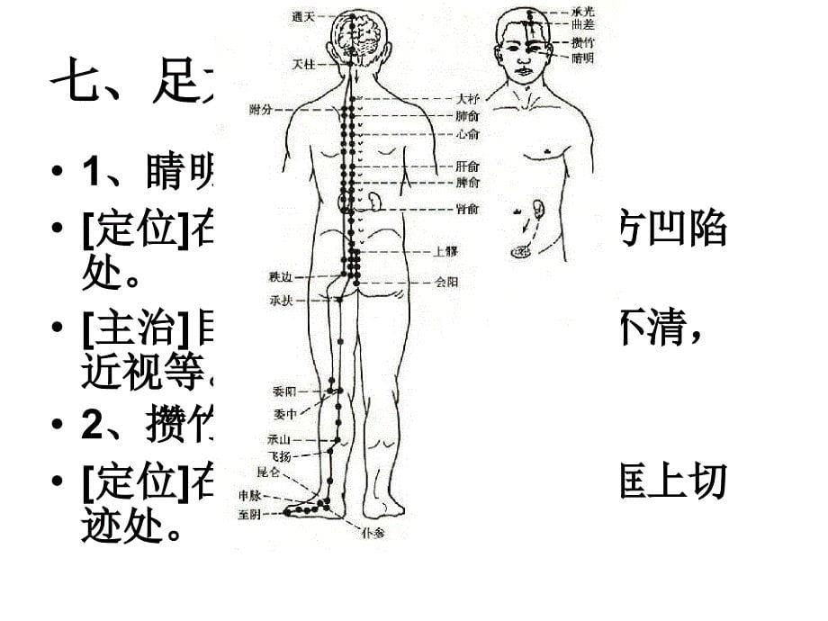 推拿学经络课件_第5页