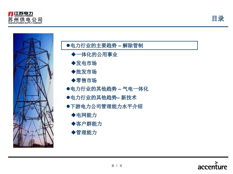 苏州供电公司业务流程优化设计项目行业描述文档精编版_第2页