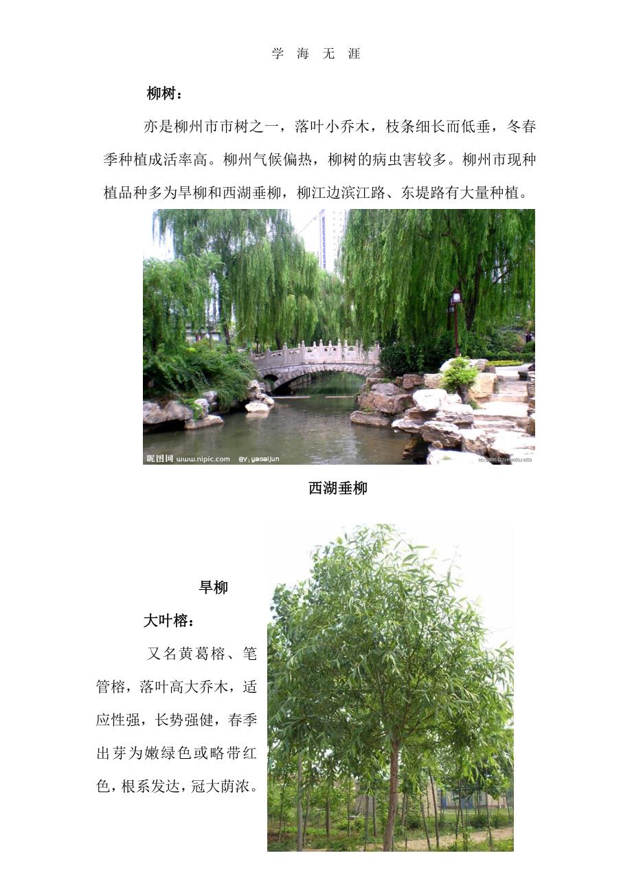 柳州市园林绿化最常用部分植物（2020年7月整理）.pdf_第2页