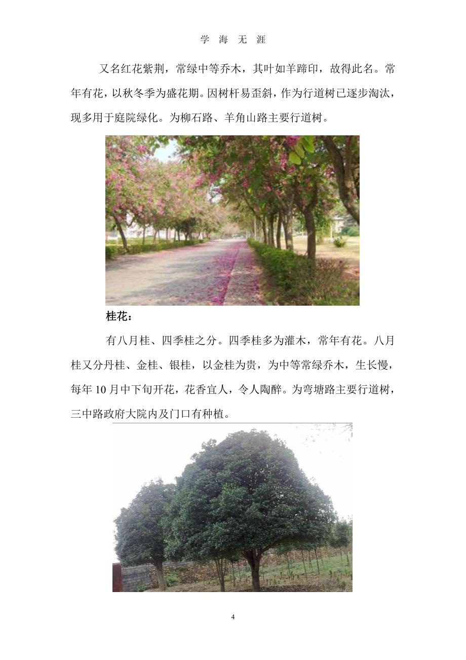 柳州市园林绿化最常用部分植物（2020年7月整理）.pdf_第4页