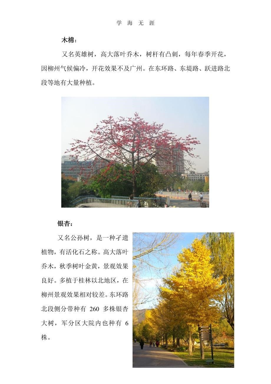 柳州市园林绿化最常用部分植物（2020年7月整理）.pdf_第5页