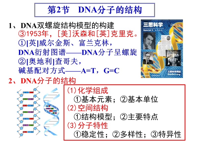 2010fxDNA结构_第1页