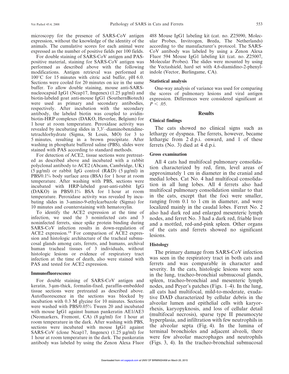 2008 Pathology of Experimental SARS Coronavirus Infection in Cats and Ferrets_第3页