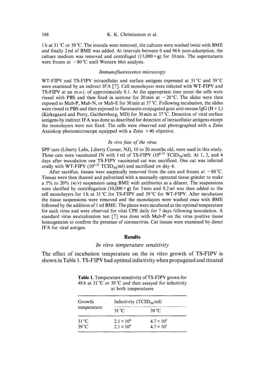 1989 Characterization of a temperature sensitive feline infectious peritonitis coronavirus_第4页