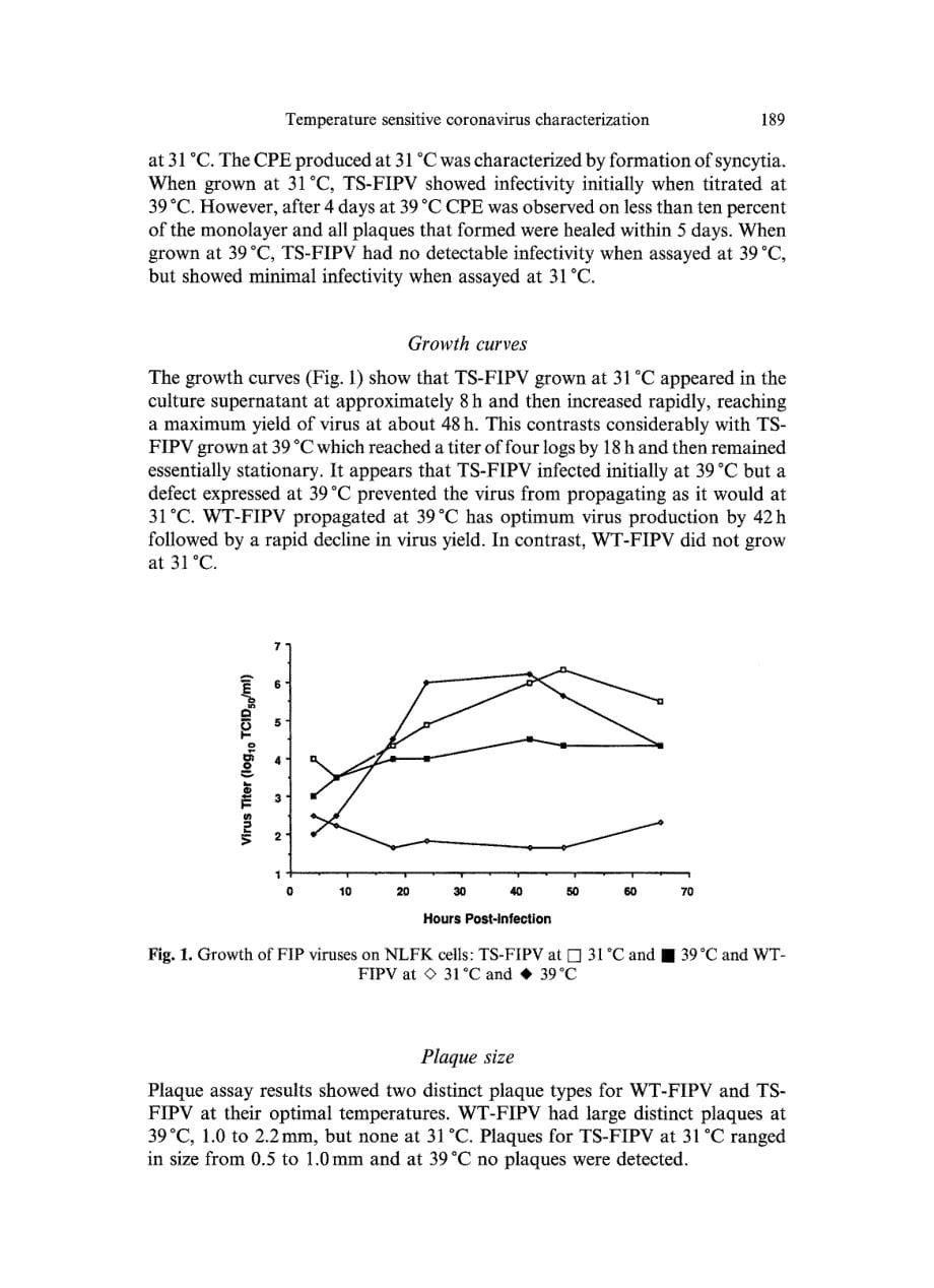 1989 Characterization of a temperature sensitive feline infectious peritonitis coronavirus_第5页