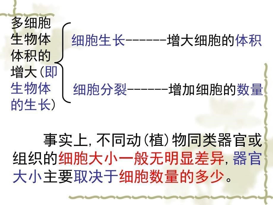 2015-2016高中生物 6.1细胞的增值课件 新人教版必修1_第5页