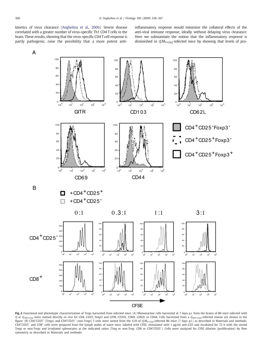 2009 Role of regulatory T cells in coronavirus-induced acute encephalitis_第3页